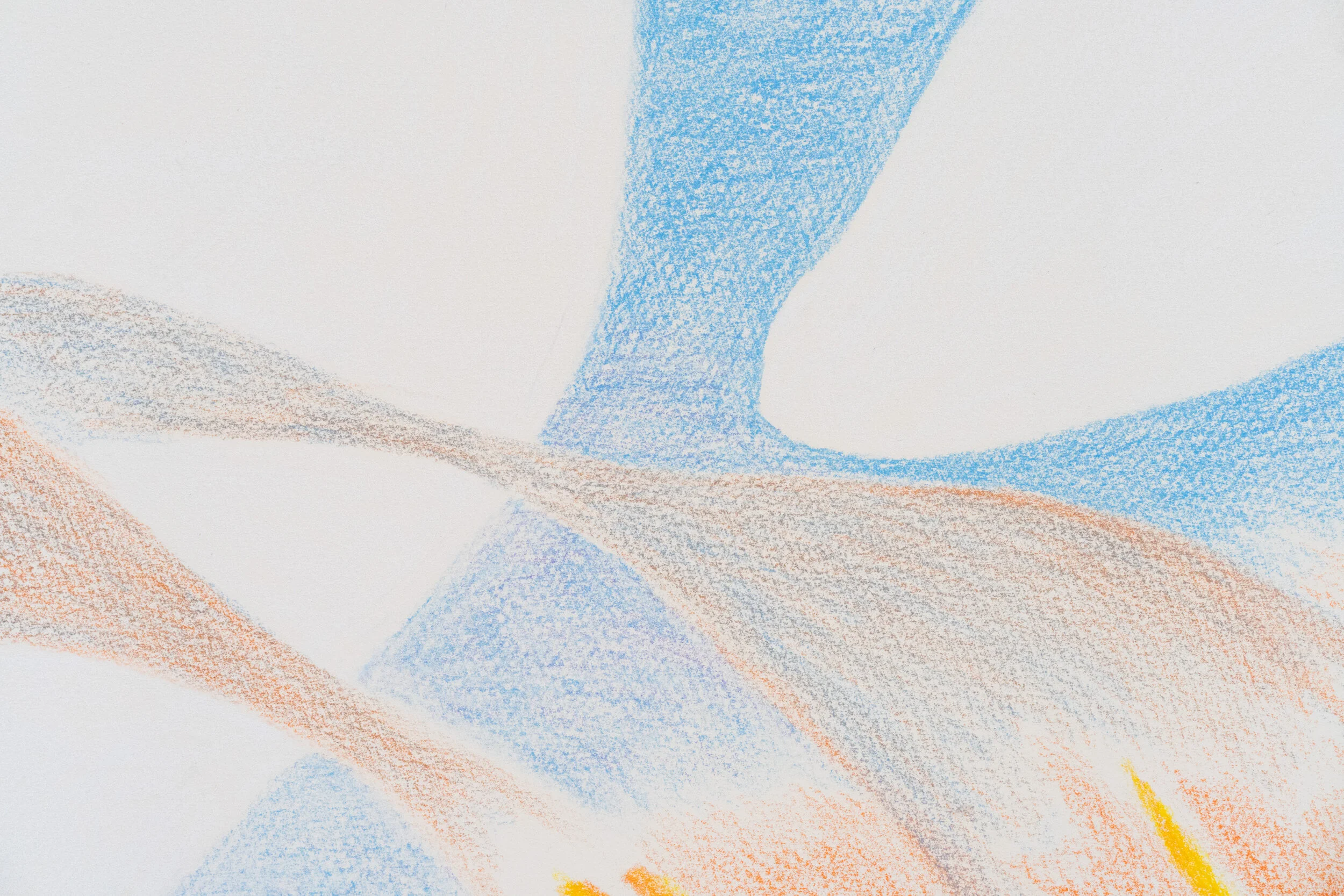  Lex Brown,  Riot  (detail), 2021. Colored pencil on panel, 40 x 73 inches. Courtesy of the artist and Deli Gallery. Photo: Nando Alvarez-Perez. 