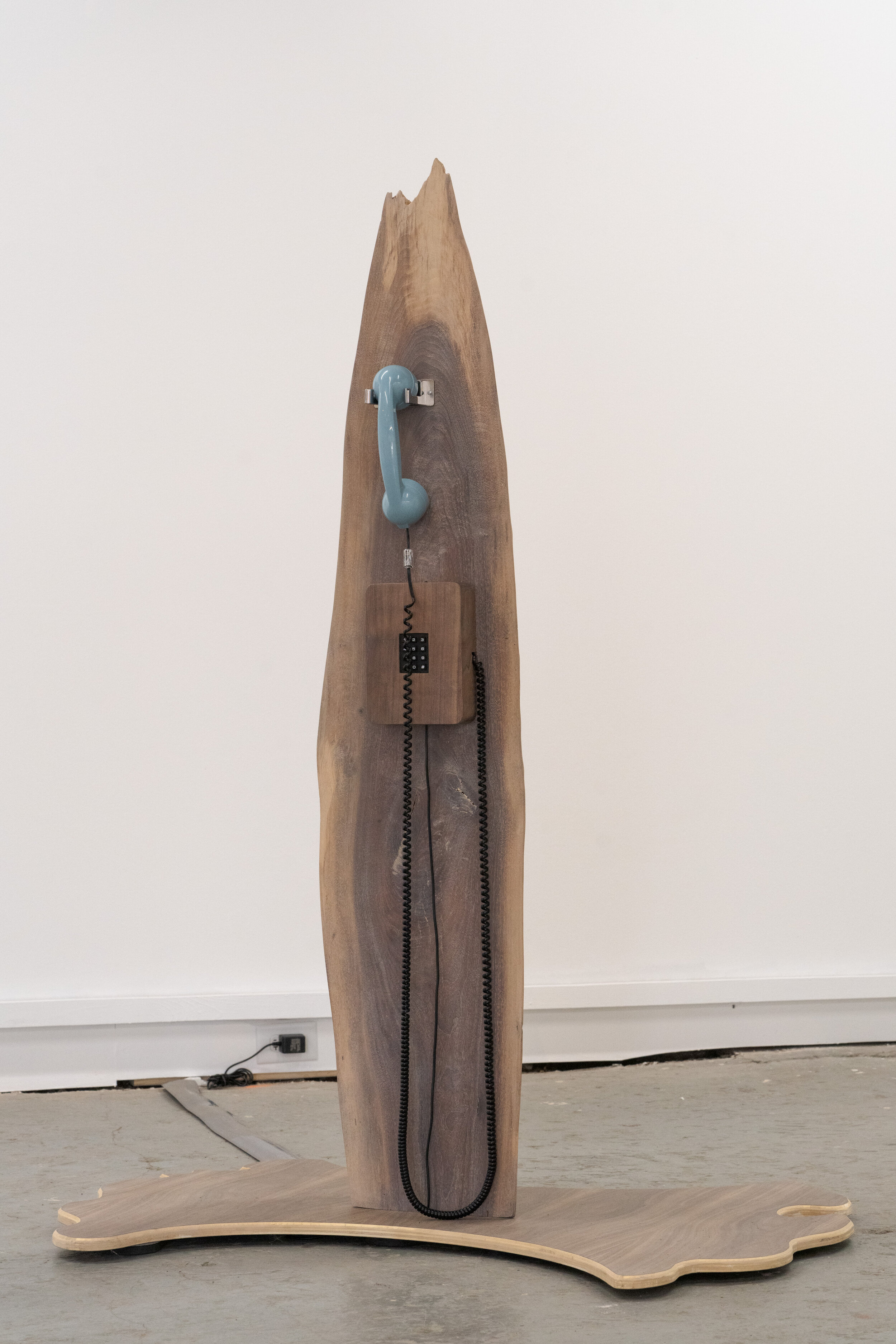  Lex Brown,  Phone Tree I , 2021. Live edge wood with audio player and 12 tracks of audio pieces. Courtesy of the artist and Deli Gallery. Photo: Nando Alvarez-Perez. 