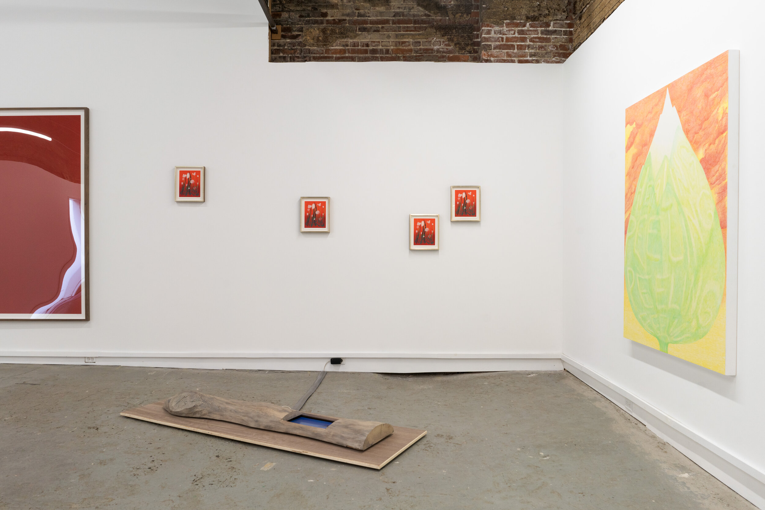   Lex Brown: Defense Mechanisms , 2021, installation view, The Buffalo Institute for Contemporary Art. Photo: Nando Alvarez-Perez. 