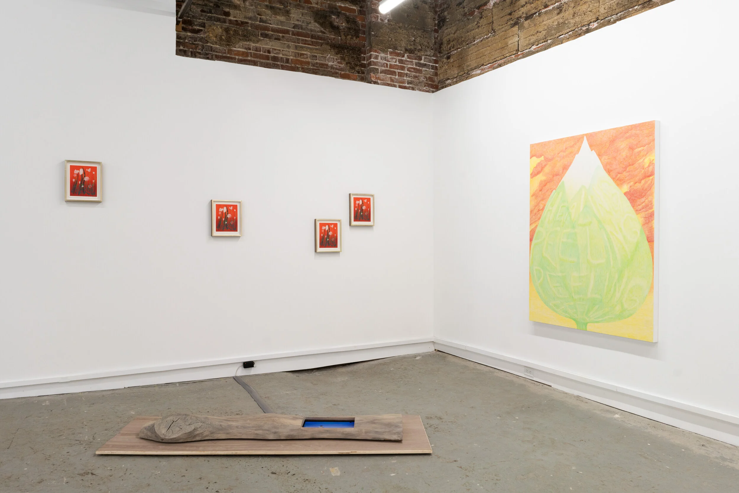   Lex Brown: Defense Mechanisms , 2021, installation view, The Buffalo Institute for Contemporary Art. Photo: Nando Alvarez-Perez. 