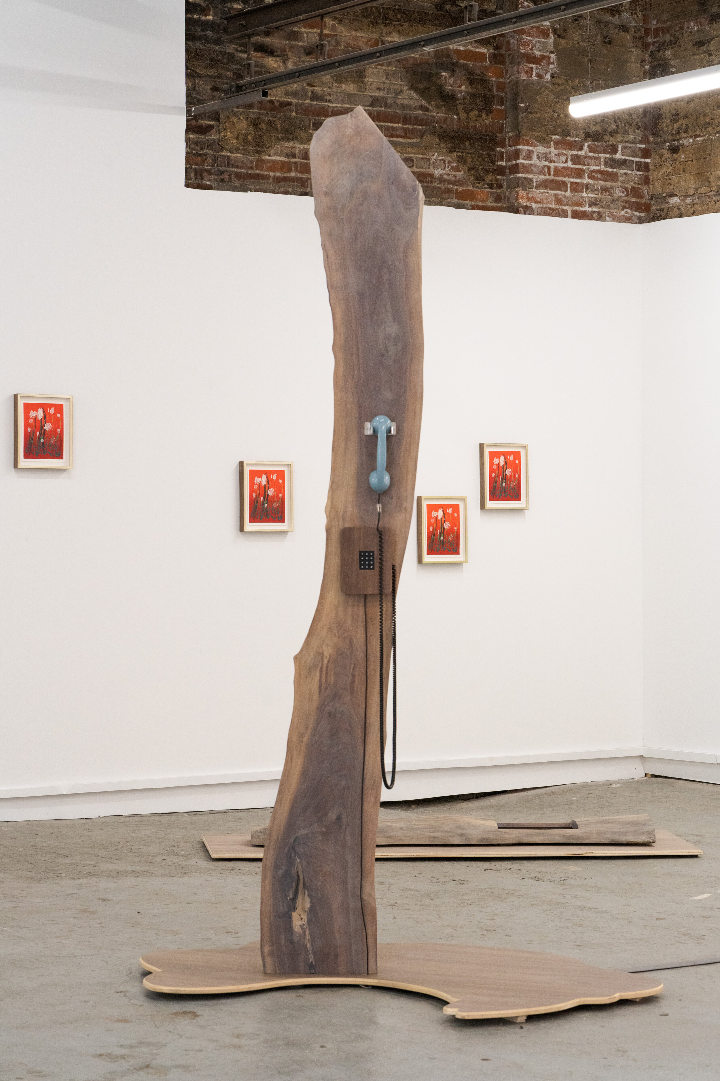  Lex Brown,  Phone Tree II , 2021. Live edge wood with audio player and 12 tracks of audio pieces. Courtesy of the artist and Deli Gallery. Photo: Nando Alvarez-Perez. 