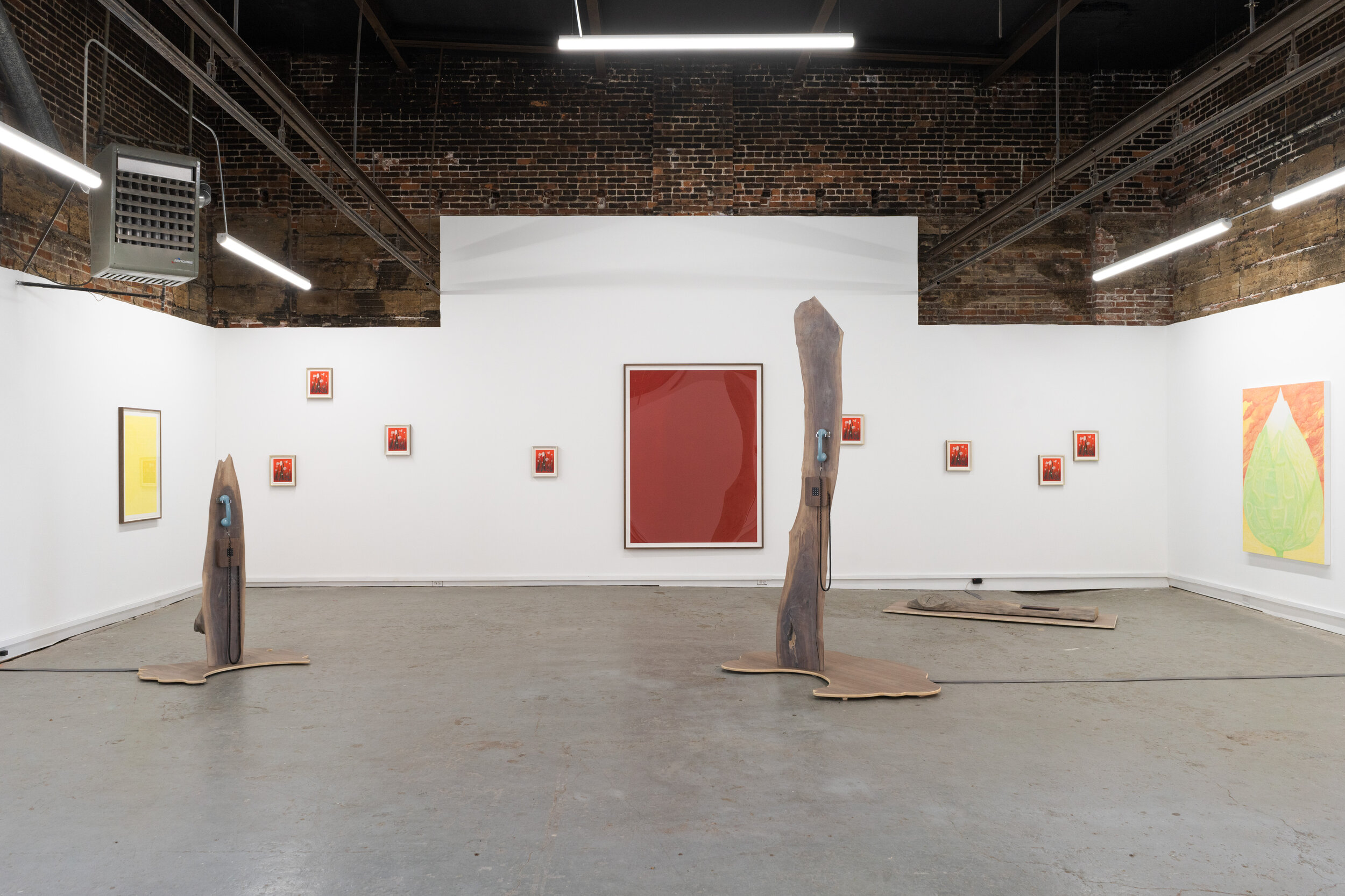   Lex Brown: Defense Mechanisms , 2021, installation view, The Buffalo Institute for Contemporary Art. Photo: Nando Alvarez-Perez. 