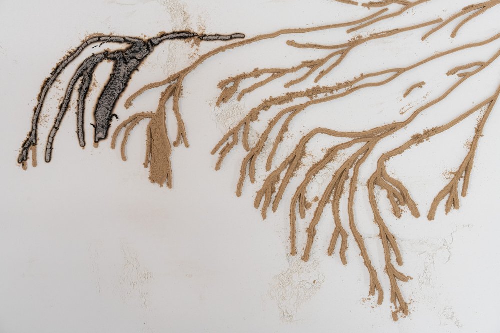  TJ Shin,  Untitled (100 days of solemnity),  2022. Transfected mugwort, cinchona, makko, oak, wild cherry, sandalwood, ash, diatomaceous earth, wood, 81 x 51 x 10 inches. Courtesy of the artist. Photo: Nando Alvarez-Perez. 