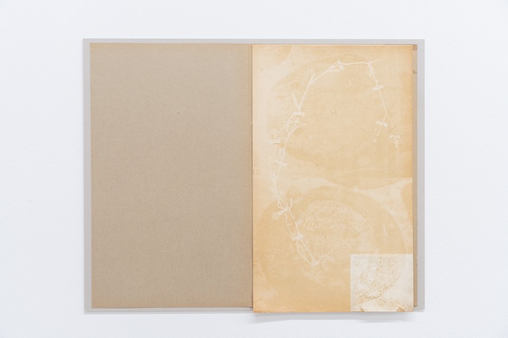  TJ Shin,  Breath of Preservation (Tu Youyou 1) , 2023. Herbarium sheet with specimens in the Asteraceae and Rubiaceae family, fungicides, pesticides, smoke, linen, envelope, 16 x 20 inches. Courtesy of the artist. Photo: Nando Alvarez-Perez. 