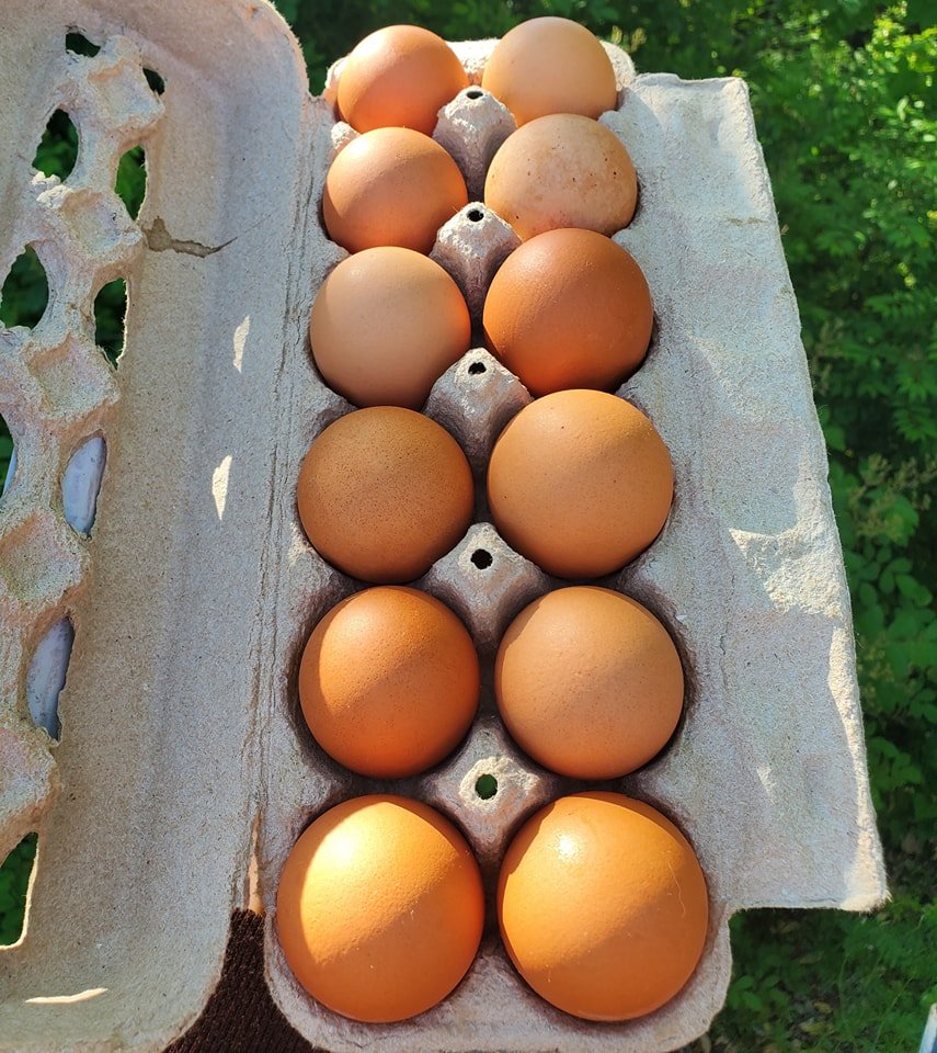 Did you know we have farm fresh eggs for sale in the shop? These gorgeous chicken and duck eggs are from Cavalier Farms. 100% of the profit goes straight back to the farmers, so it's a great way to support a local farm!
We also have plenty of fresh b