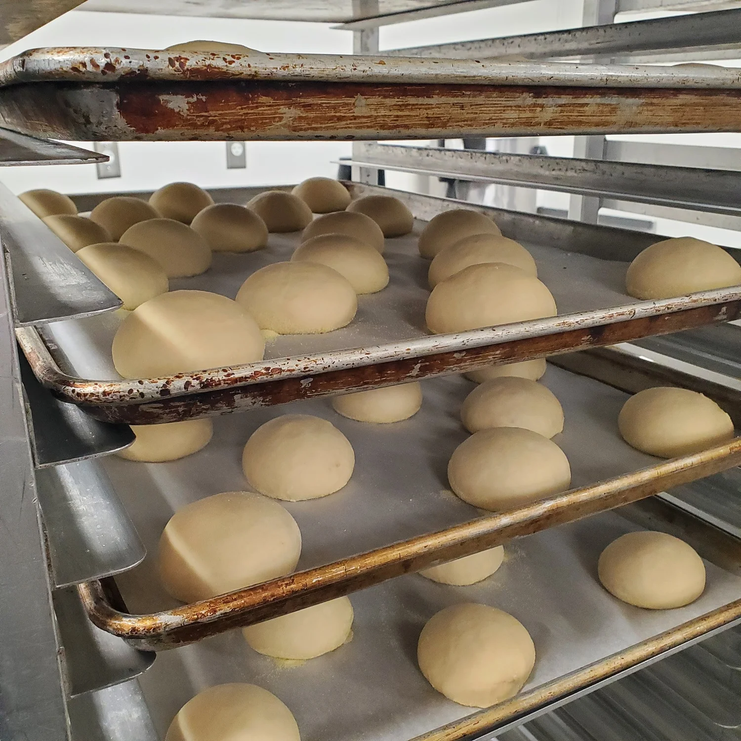 Dough on baking trays