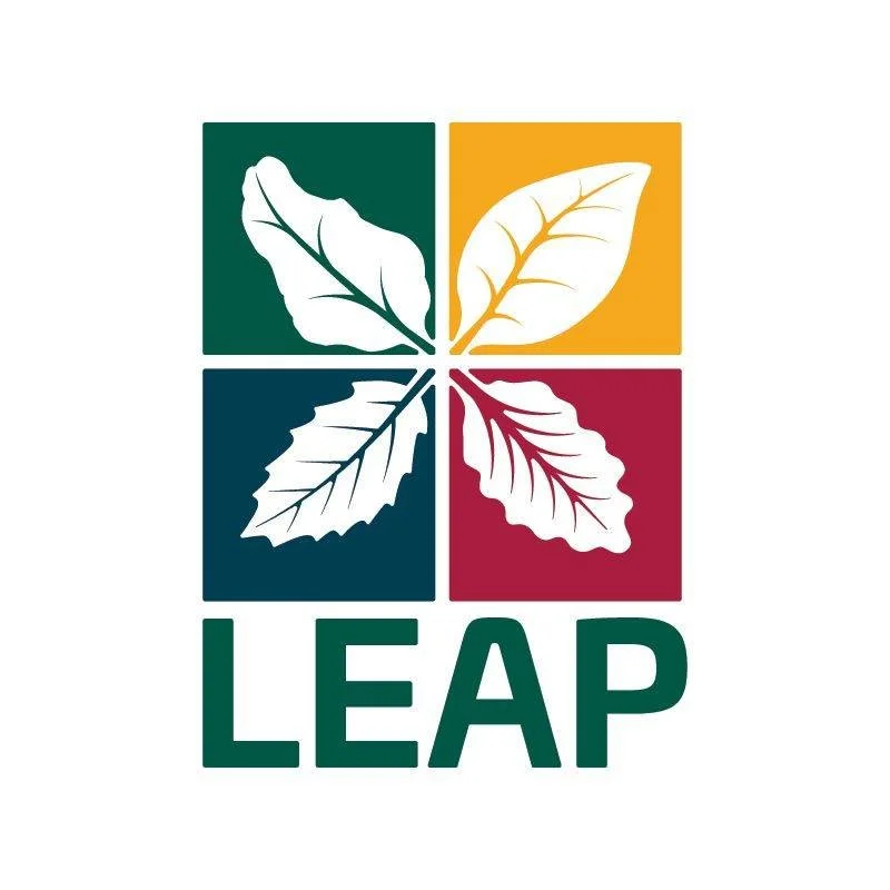 Four colored squares each containing a white leaf illustration, arranged in a 2x2 grid, with the word 'LEAP' below.