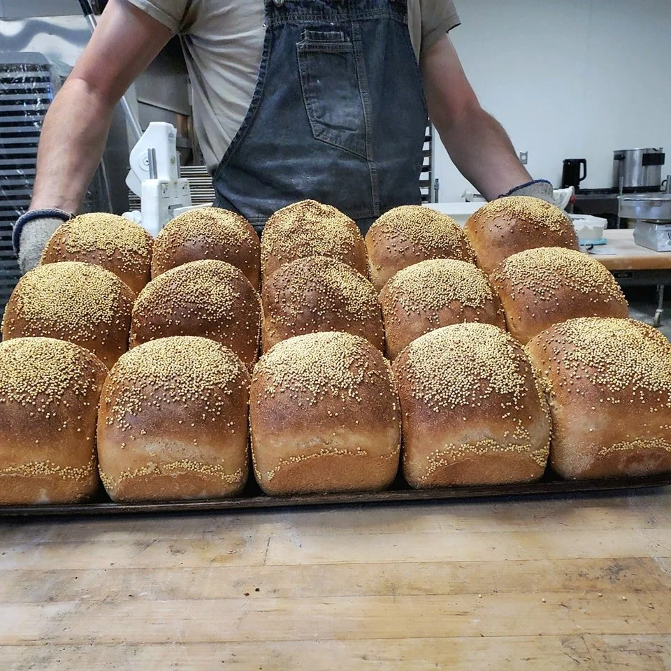 A person wearing an apron displays a tray of freshly baked bread rolls with sesame seeds on top, in a commercial kitchen.