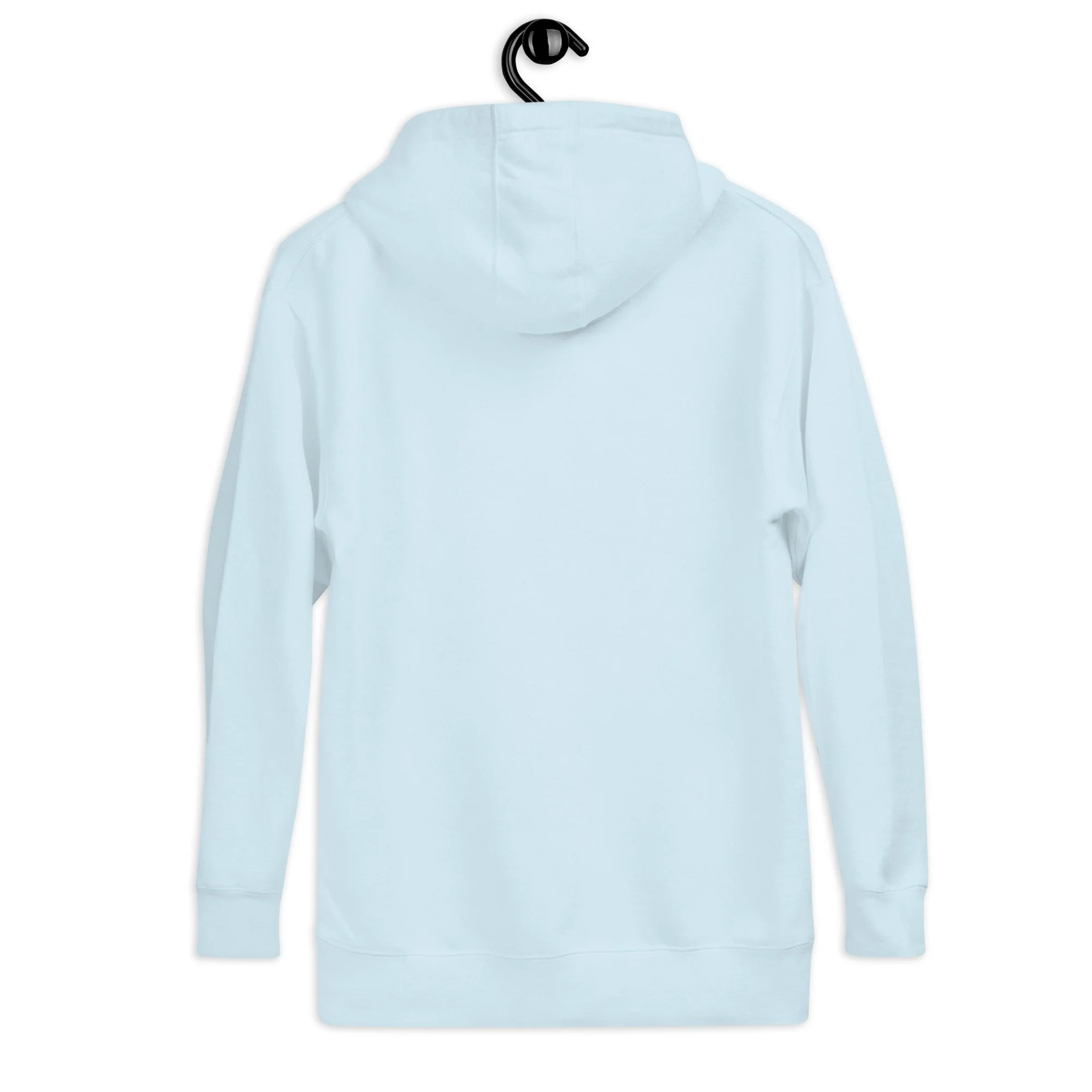 unisex-premium-hoodie-sky-blue-back-65175eef1889f.jpg