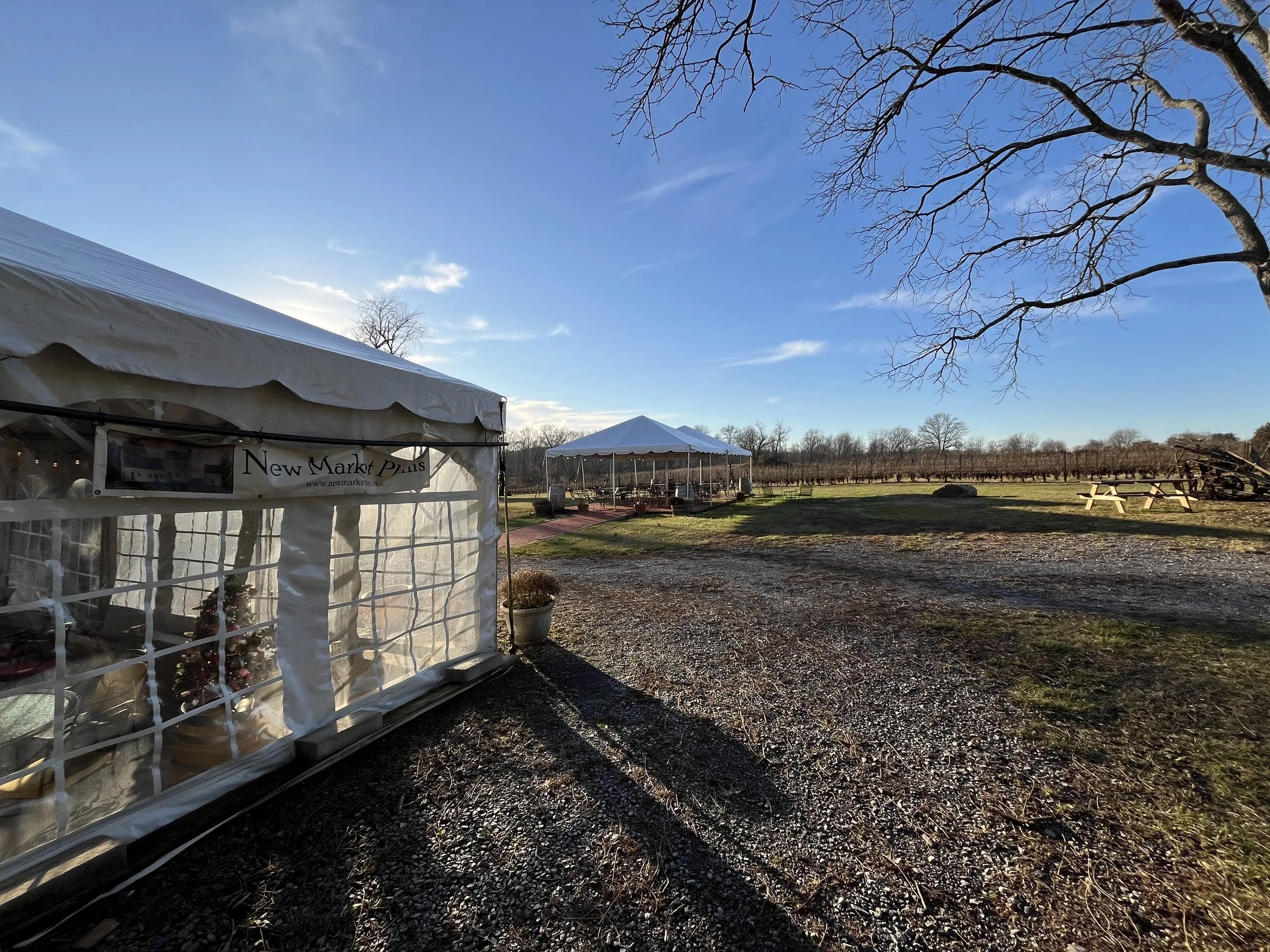 New Market Plains Vineyards