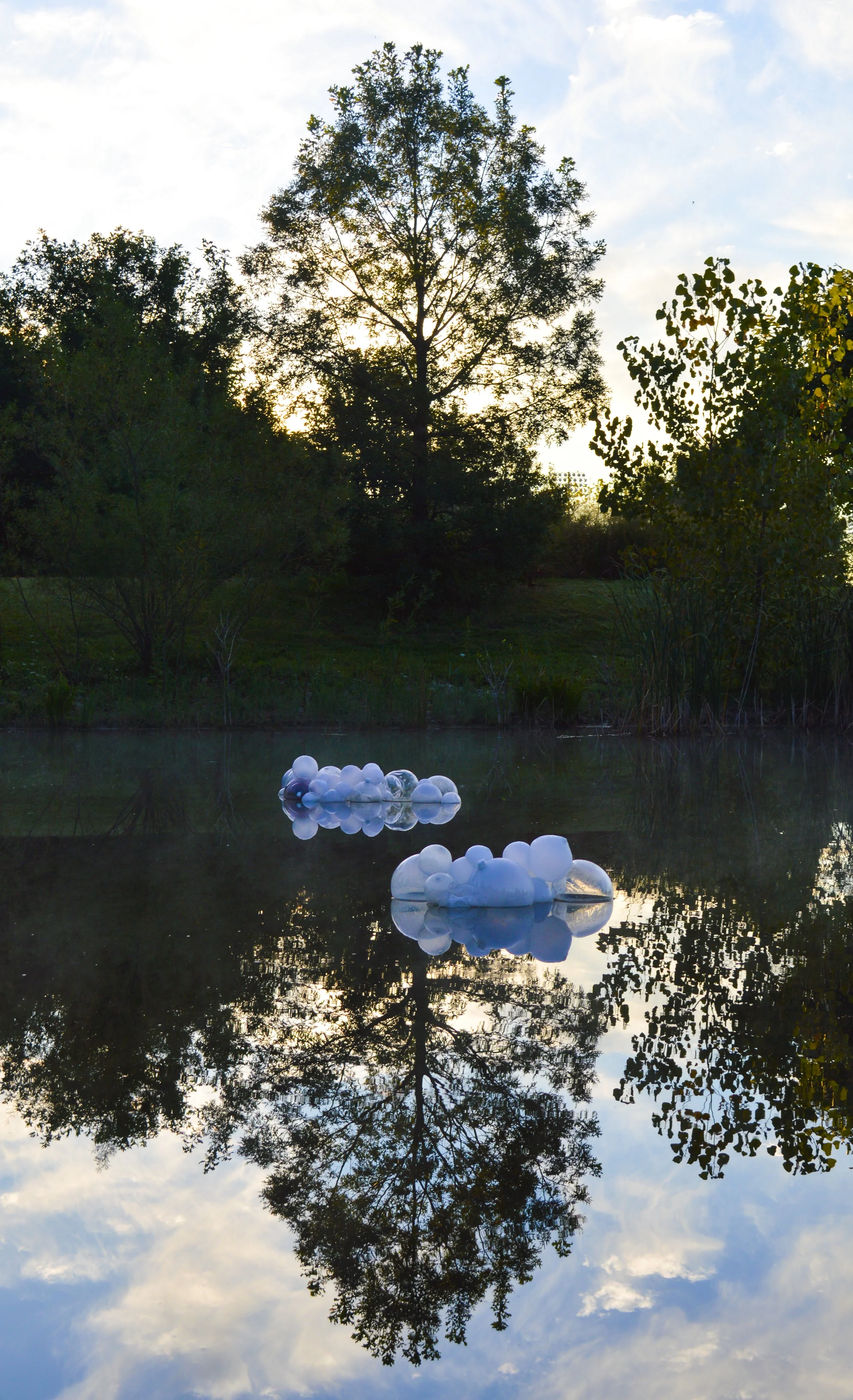 Bubble Reflection2-.JPG