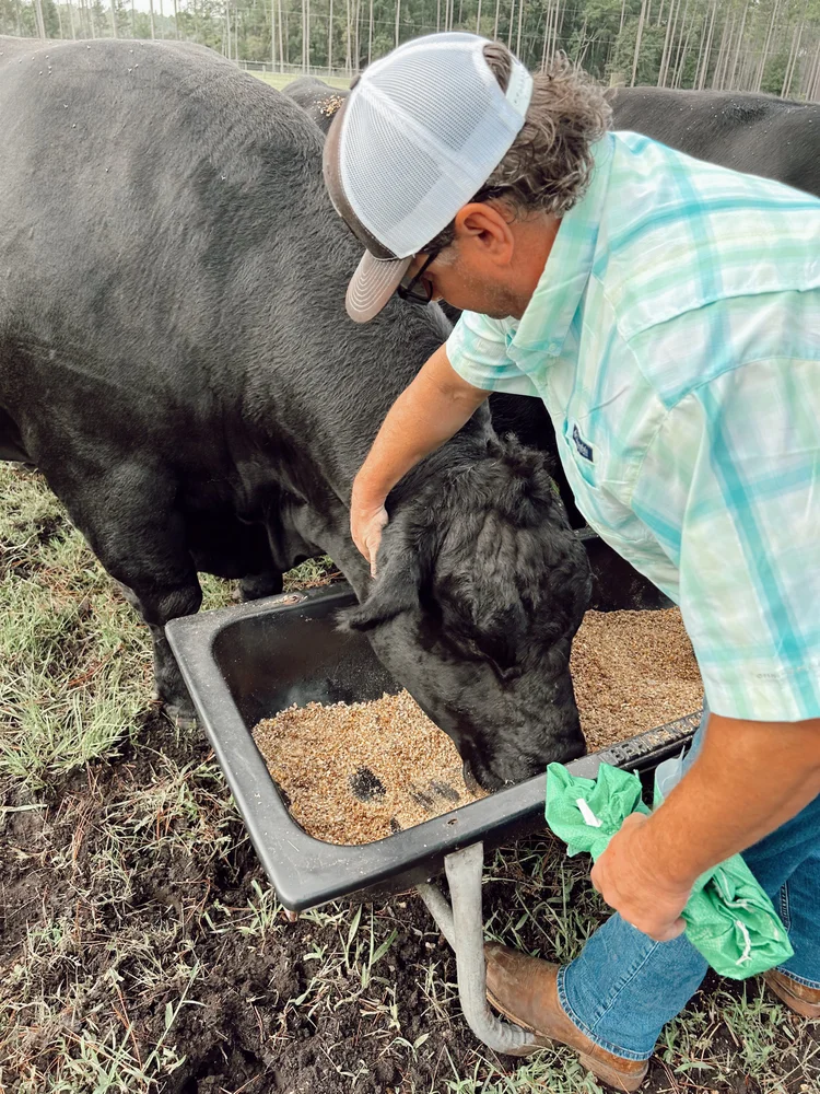 Cline's Custom Meats San Marco Jacksonville, FL Butcher Shop