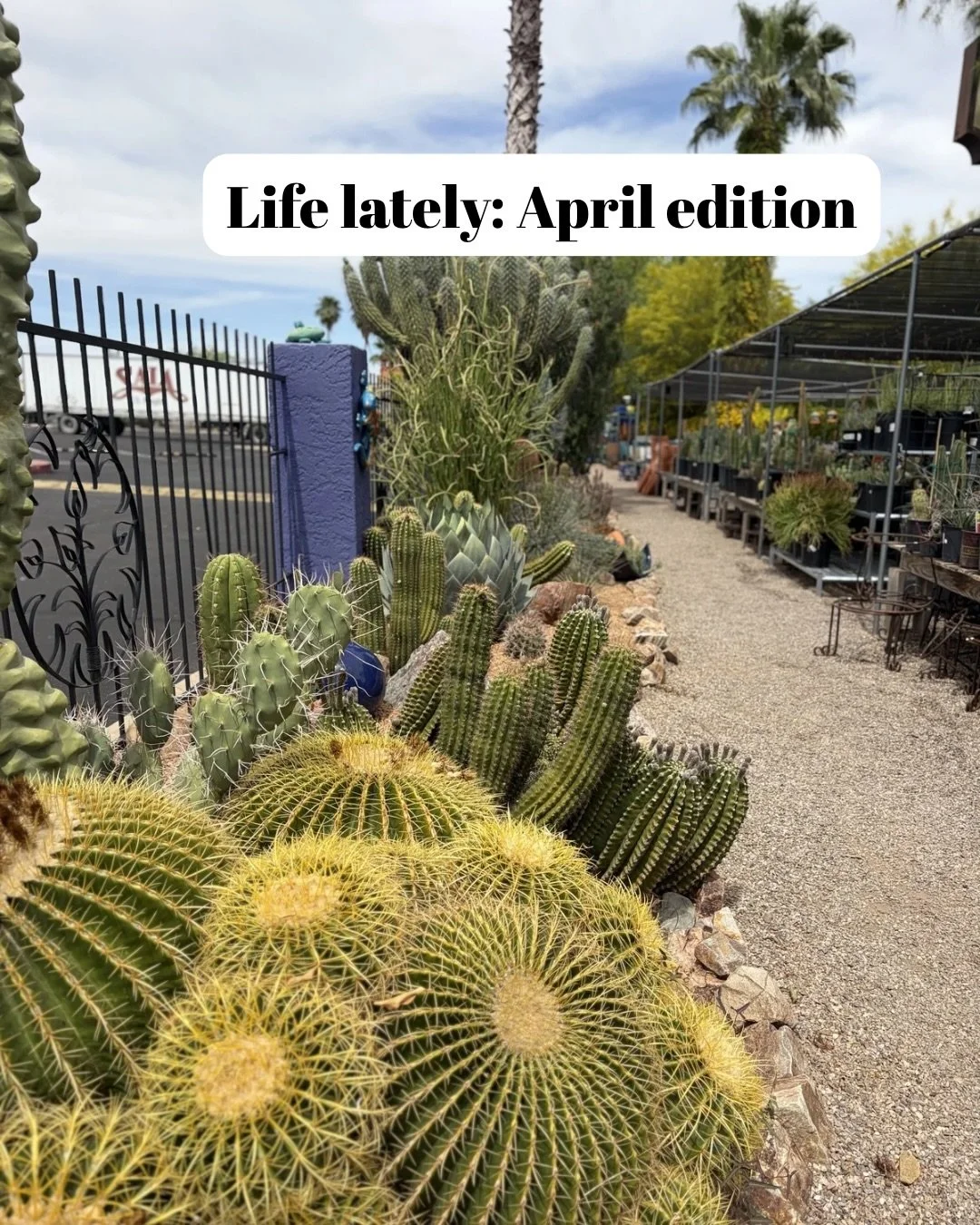 A glimpse of April: life, work, and all the real happy hours in between 💖💕