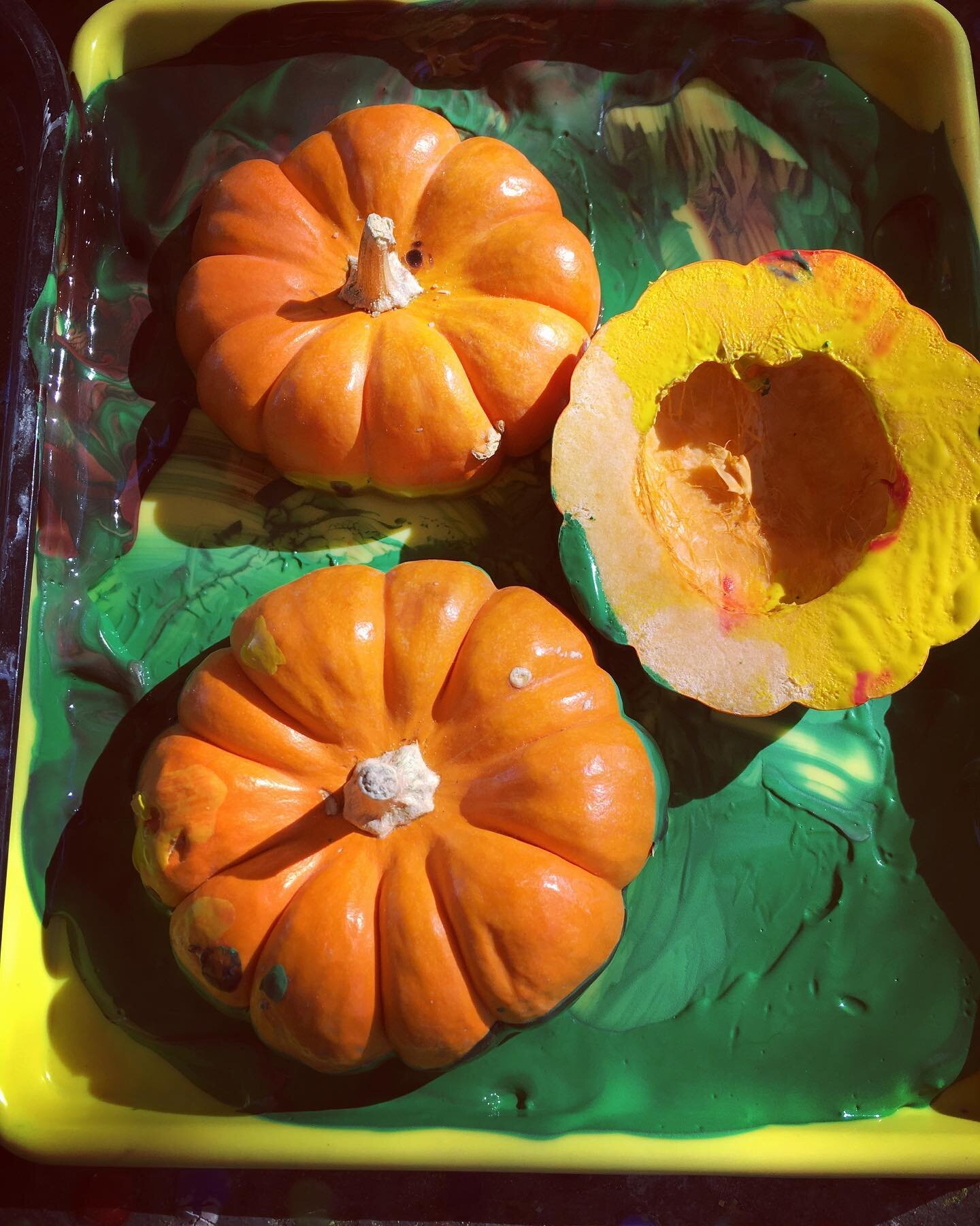 At MHCP, fall is about pumpkin painting and the crunch of leaves, but it&rsquo;s also about gratitude and caring for others. #sandiegopreschool #positiveparenting #childrencanchangetheworld