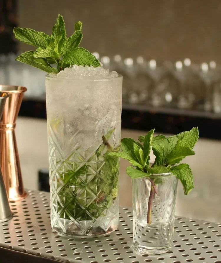 Cooler Than a Cucumber gimlet in Arlington VA