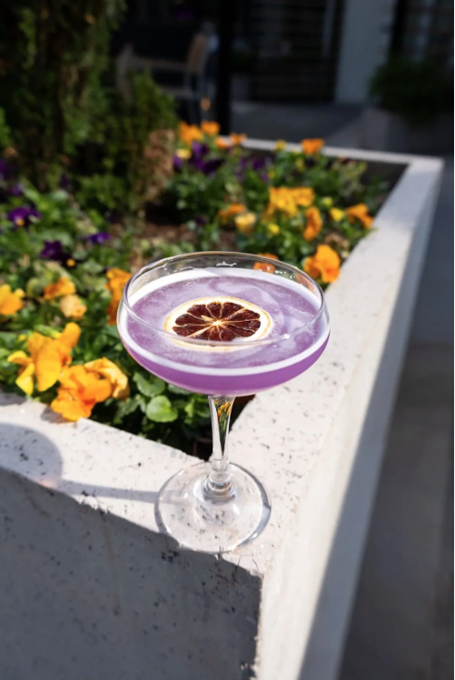 infused gin martini in Arlington VA