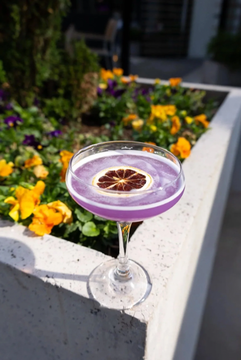 A purple cocktail with a slice of dried citrus garnish in a coupe glass on a white ledge, with colorful flowers in the background.