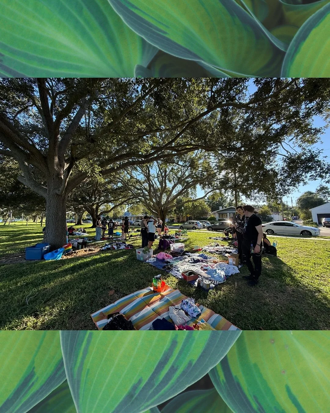 Trans family in the park is a beautiful place to be. We had sunsets and dogs and ice cream! 

We were pleasantly surprised to see over 80 folks signed up to our little swap in the park - and y&rsquo;all came ready!! The goal of these swaps is to shar