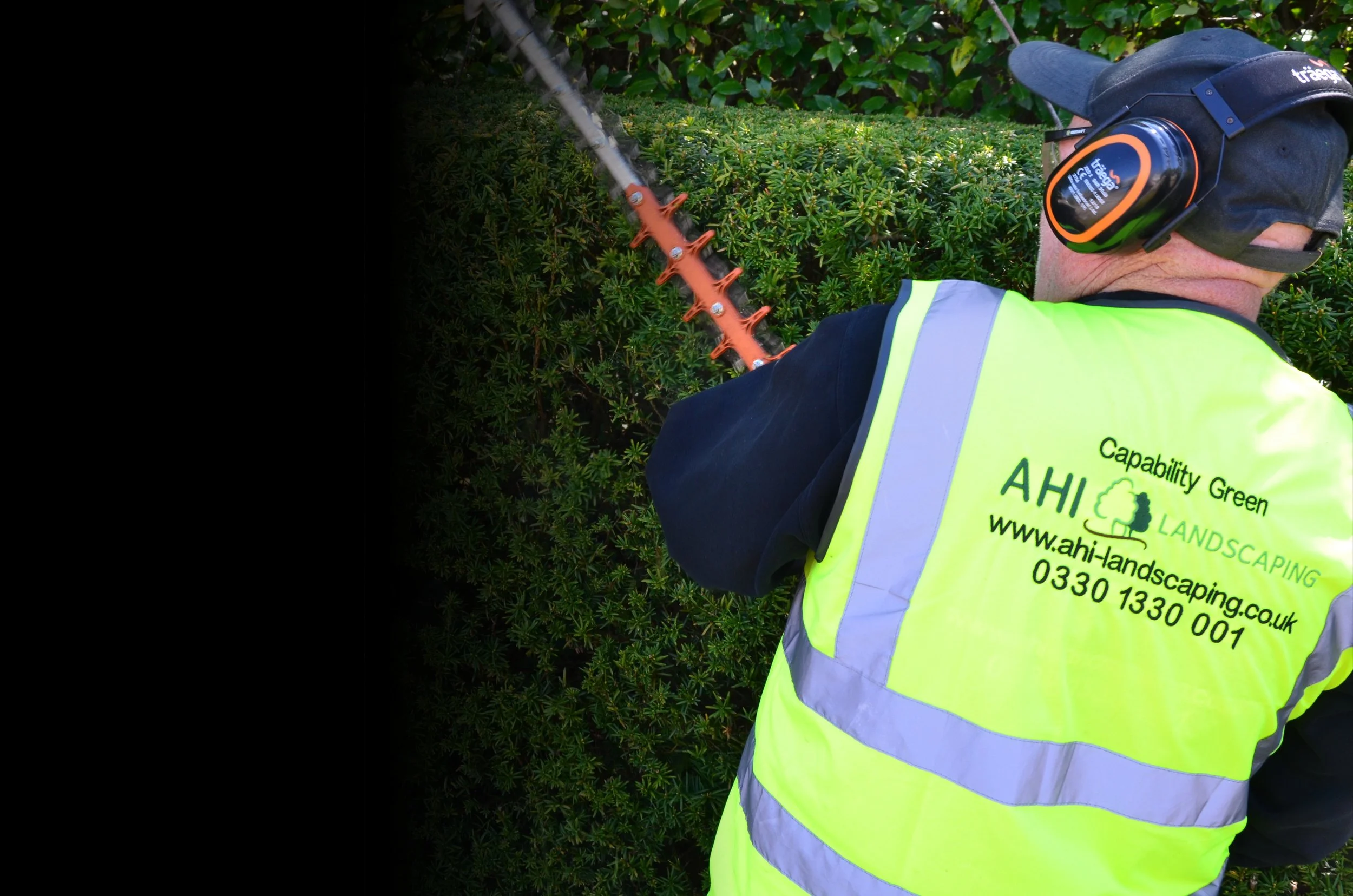 A AHI Landscaping workman wearing a high-visibility vest and a black cap with ear protection is trimming a dense green shrub with a hedge trimmer.