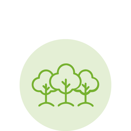 Simple line drawing of three trees inside a light green circle.