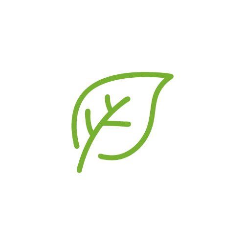Green leaf icon on black background