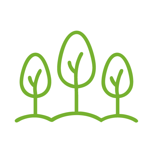 Simple illustration of three green trees on a grassy ground.