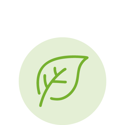Illustration of a leaf with a coffee cup in the background.