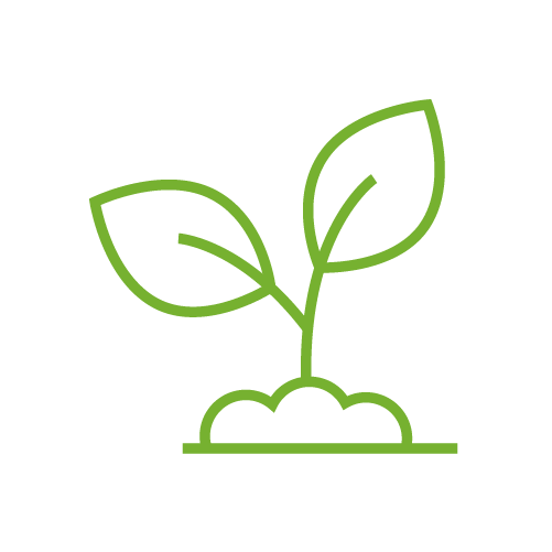 Green outline of a growing plant with two leaves emerging from soil.
