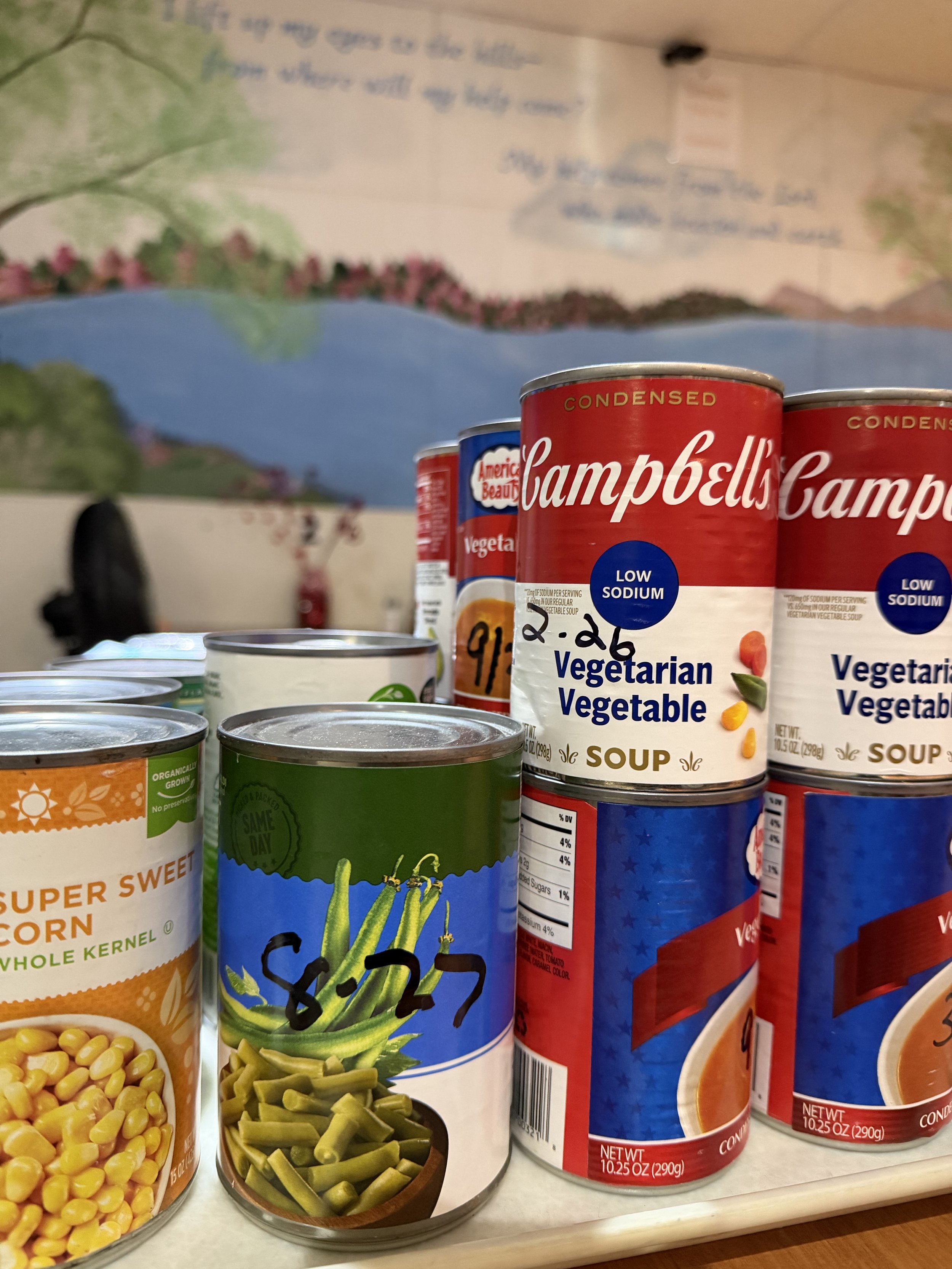 Photo Feb 26 2026, 1 09 00 PM.jpg