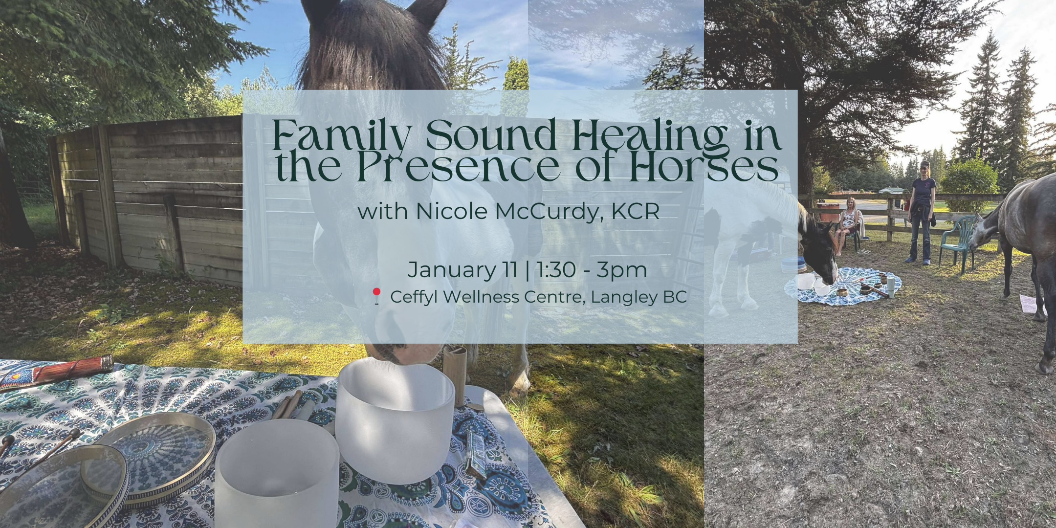 Family Sound Healing in the Presence of Horses