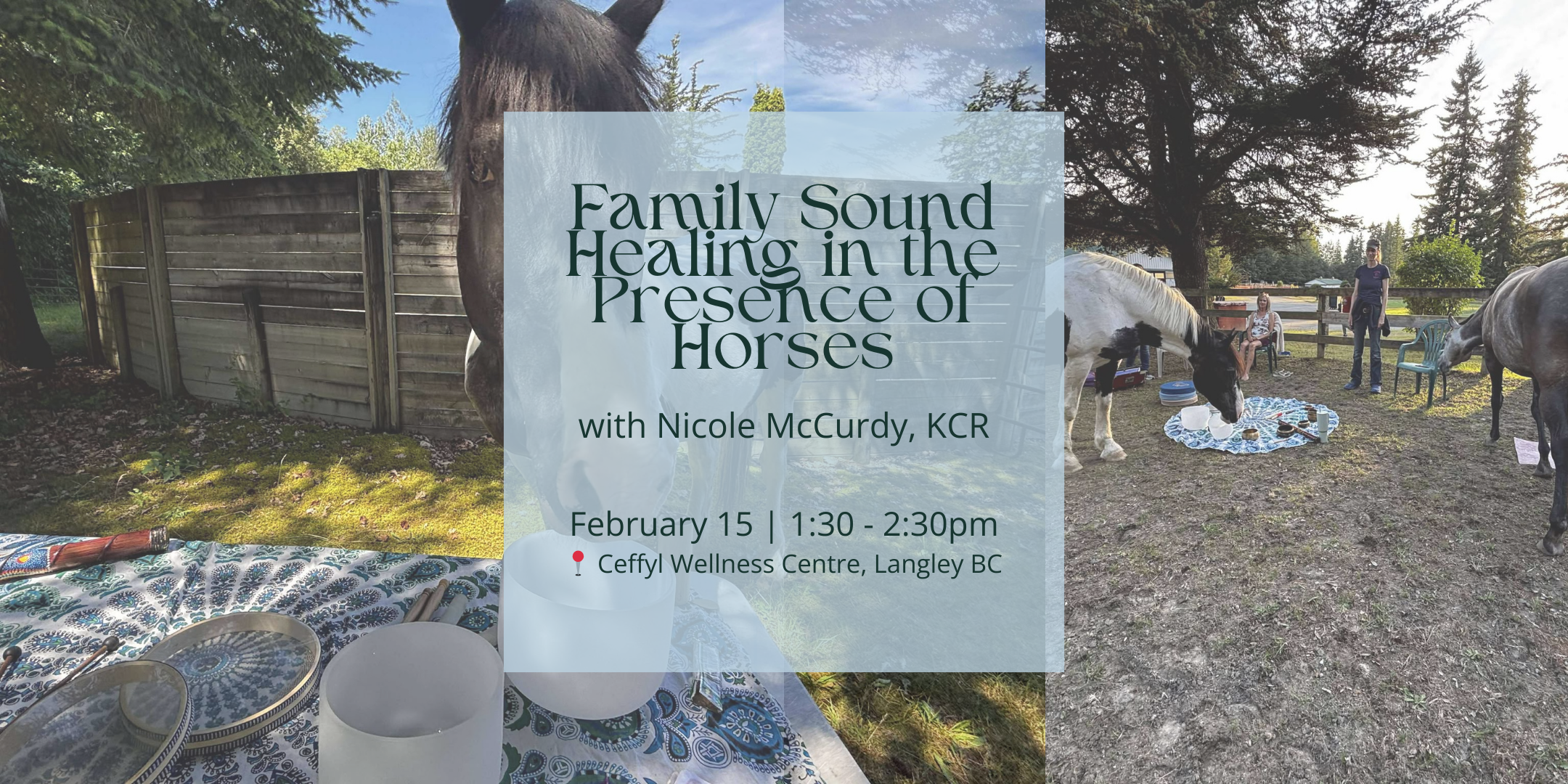 Family Sound Healing in the Presence of Horses