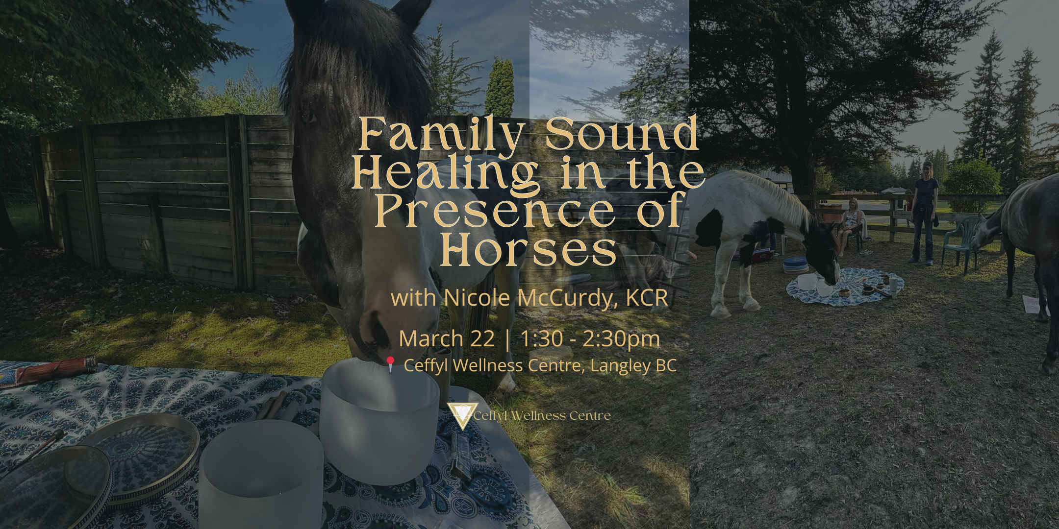 Family Sound Healing in the Presence of Horses (All Ages)