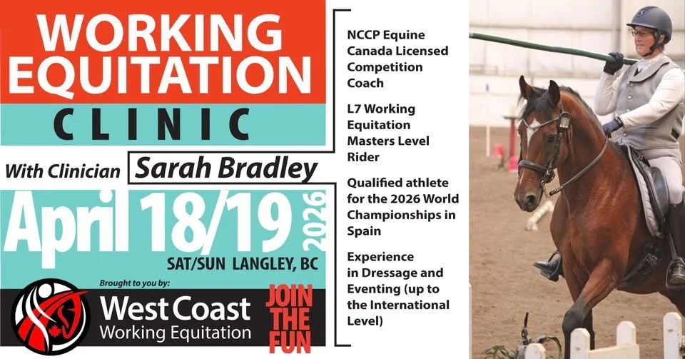 Working Equitation Clinic with Sarah Bradley