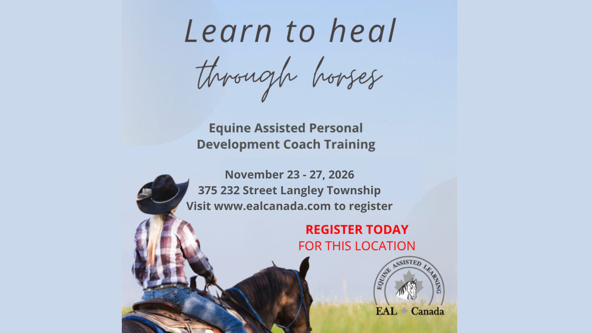 Learn to Heal Through Horses