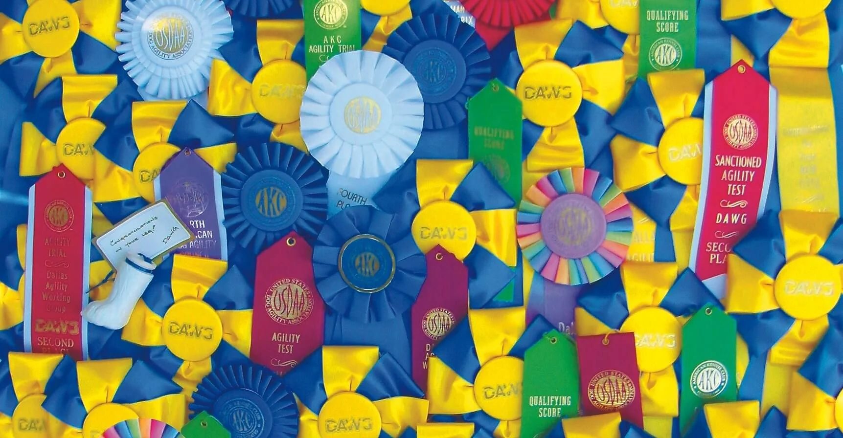 DAWG Events — DAWG Dallas Agility Working Group