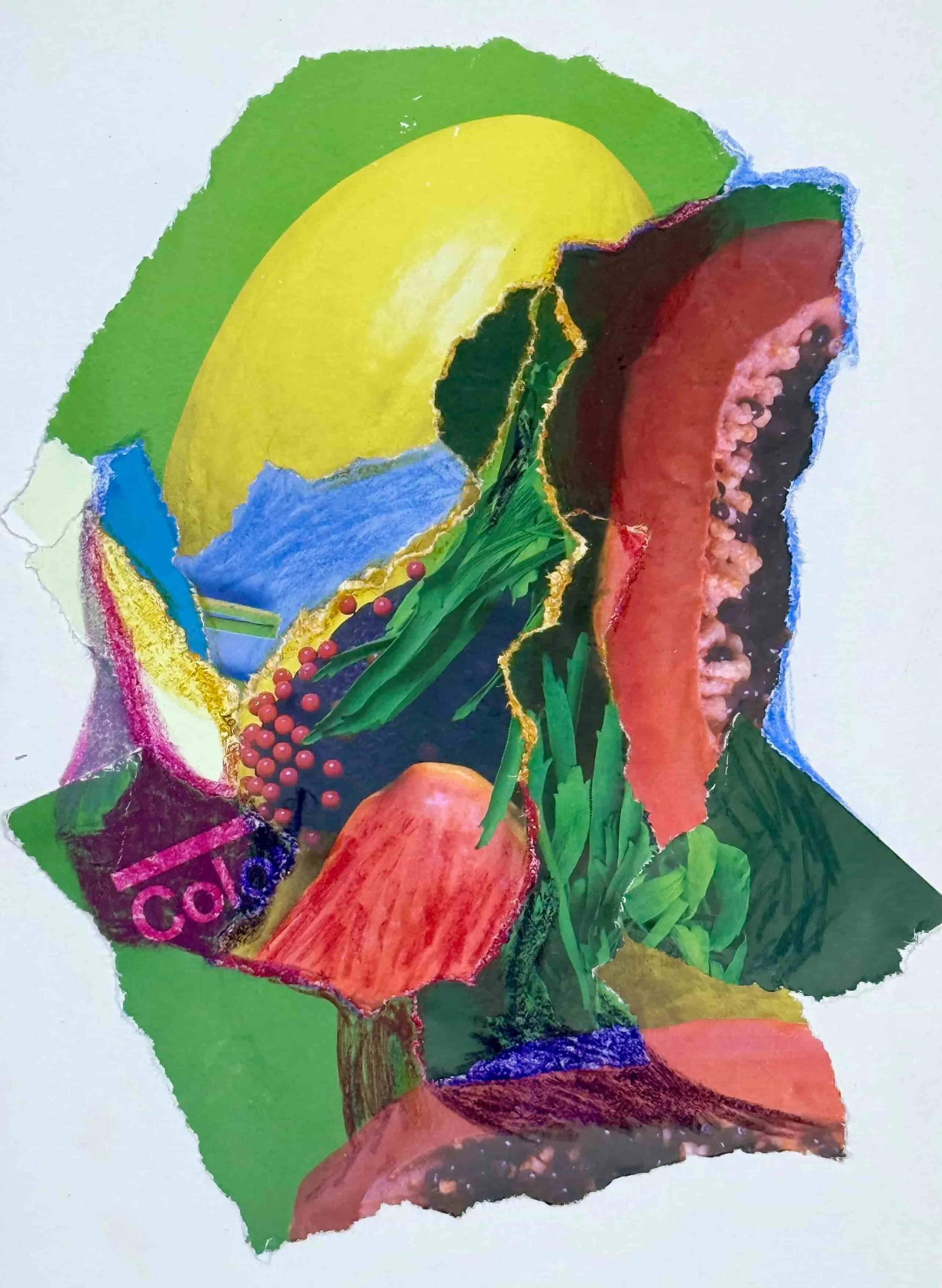 Juicy Fruit | 15x20cm | 2025 | Collage and watersoluble pastels on paper 