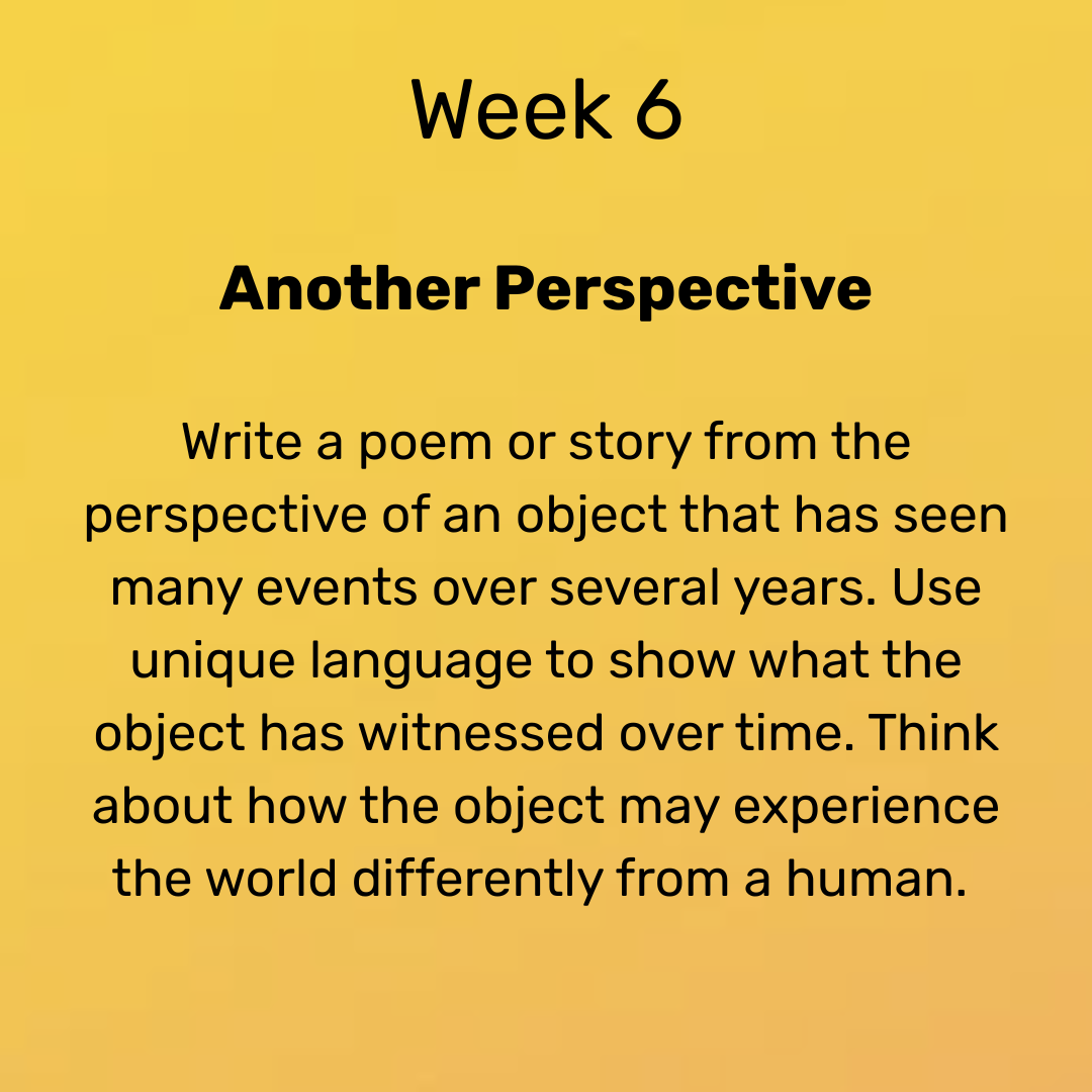 Week 6