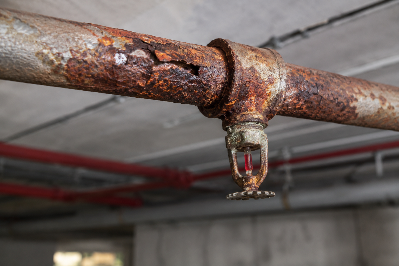 corroded pipe and sprinkler fitting