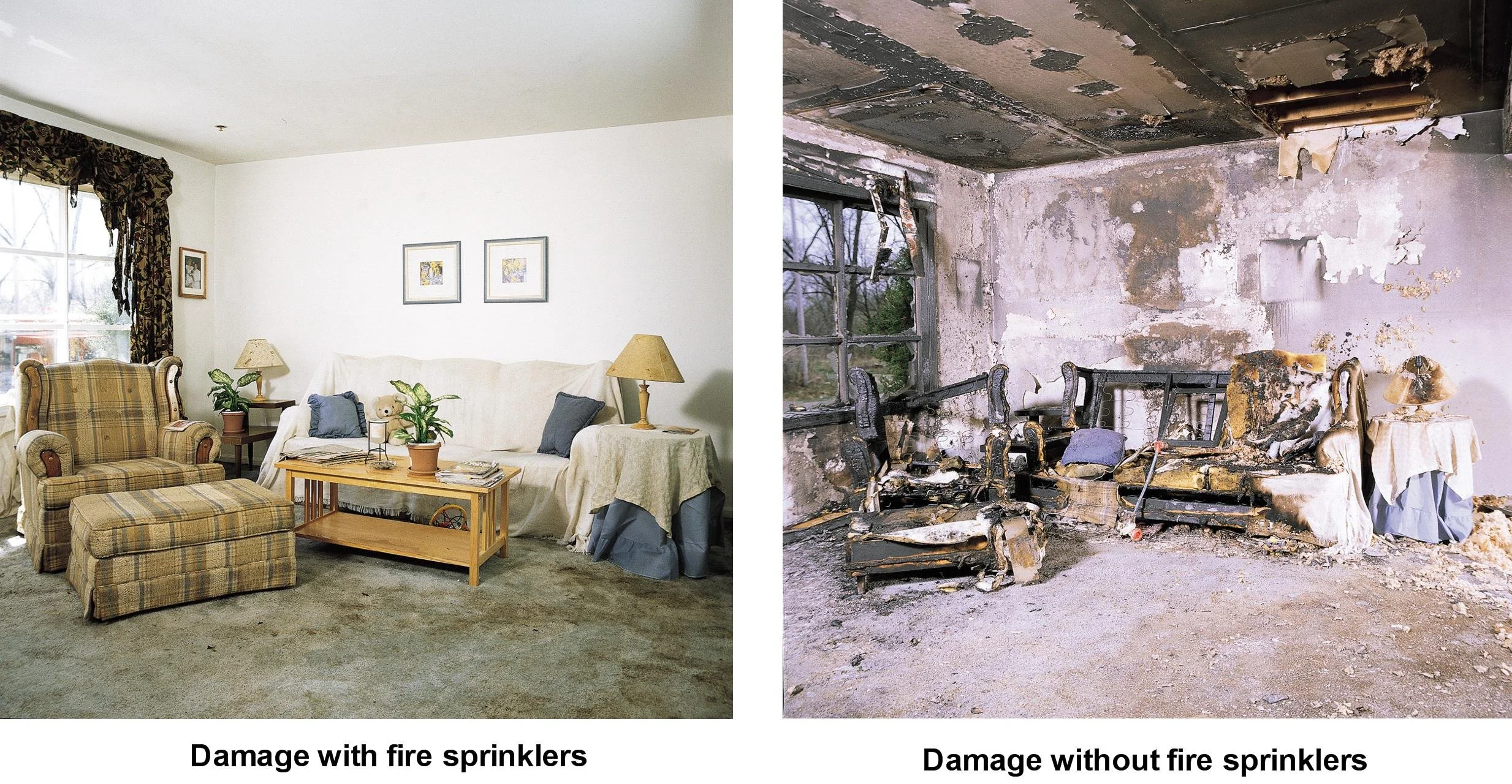 Fire Sprinkler damage