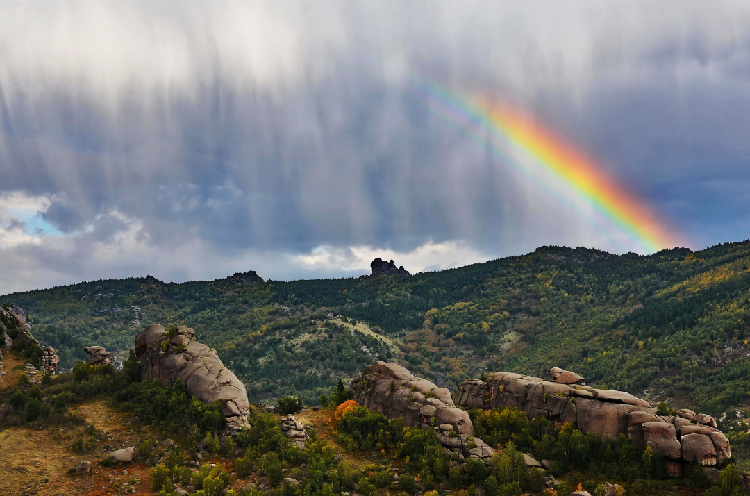 Bloating, Foggy Brain, and Fatigue in Midlife? Mindfulness Can Help.