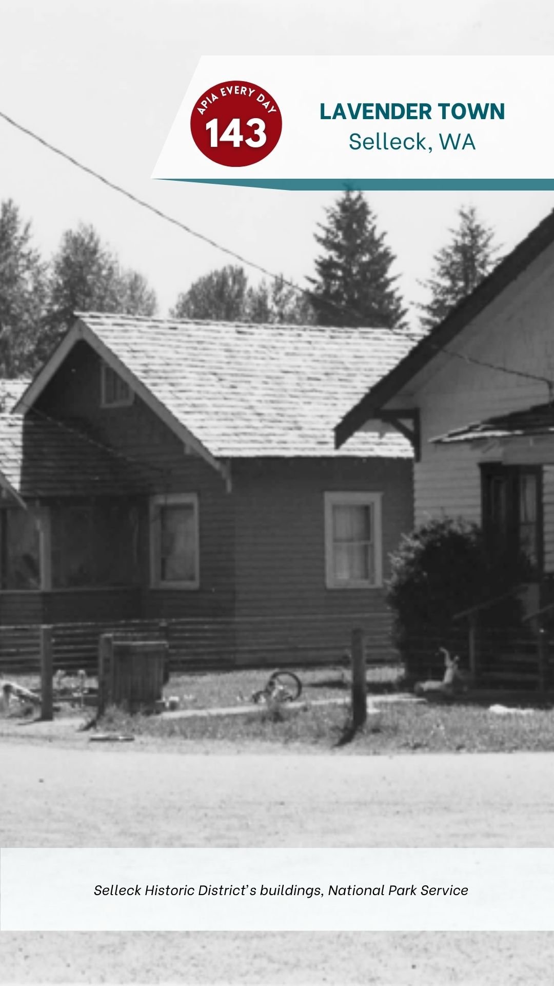 Day 143: Lavender Town, Selleck, Washington