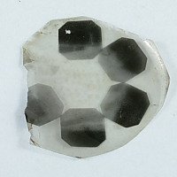 C861-1.jpg