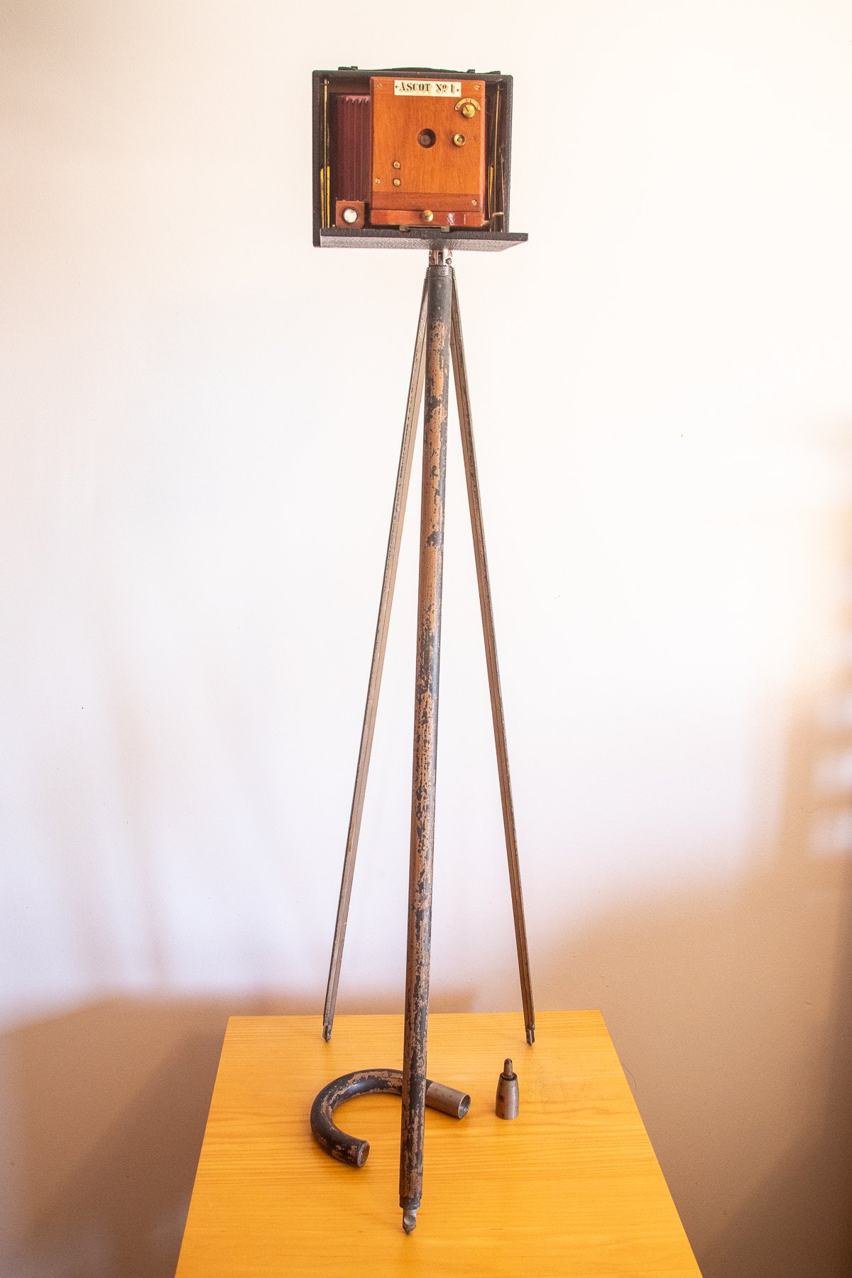 Cane Tripod with Ascot No. 1 copy 2.jpg