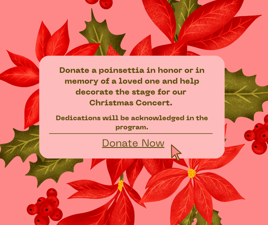 Poinsettia