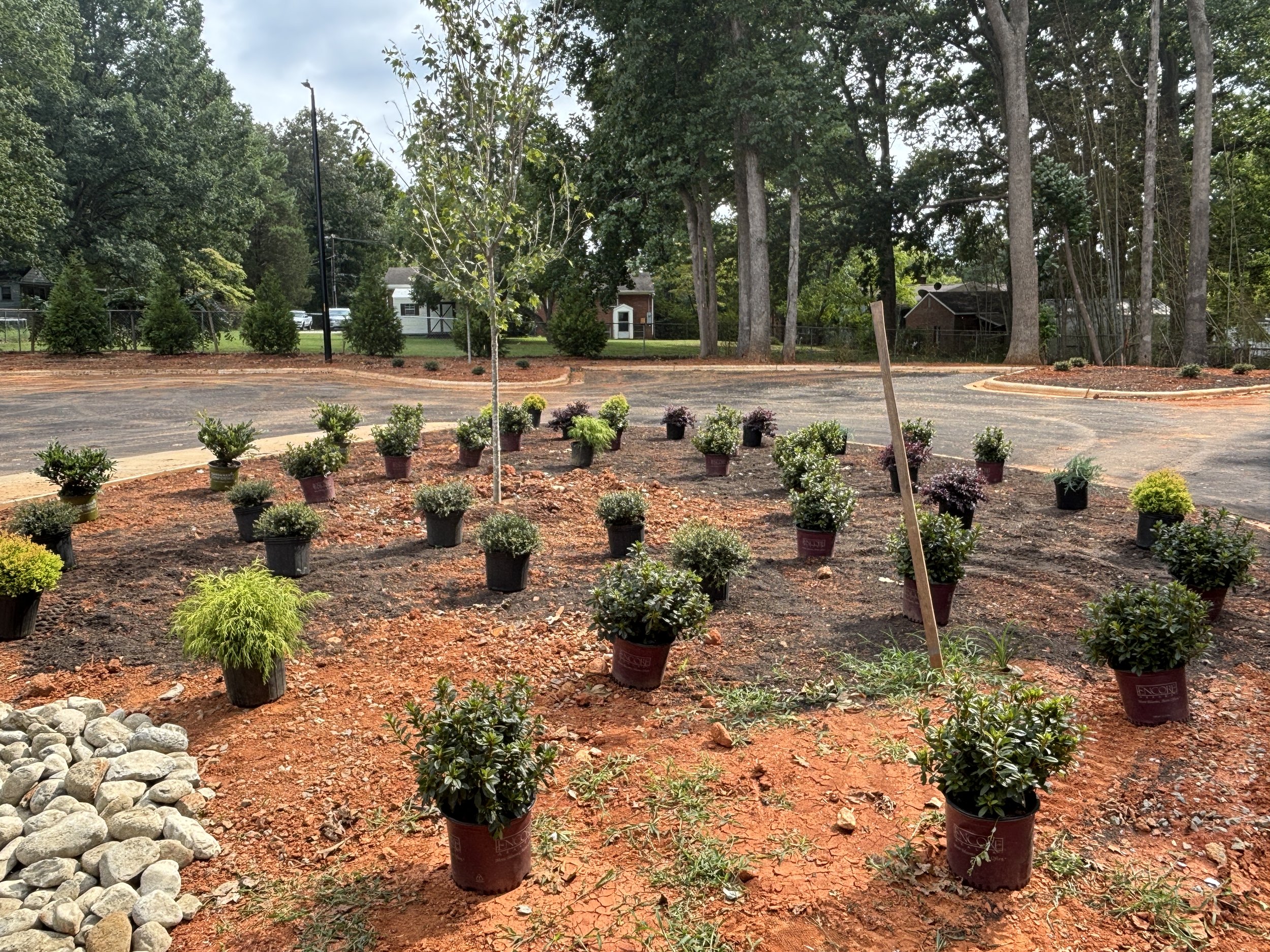 Landscaping in progress