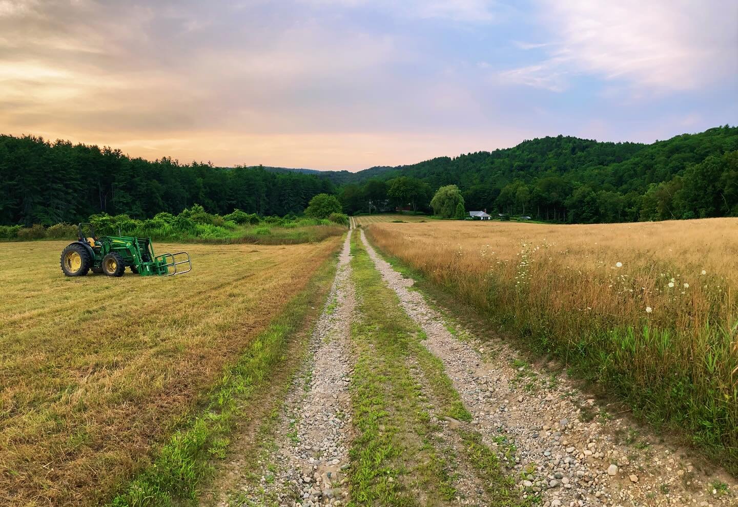 Repatterning Experience Part One: 

The Biology of Habit

📝

When we talk about repatterning how we process experience, we&rsquo;re talking about loosening the grip of the past in our biology.

The nervous system carries memory, shapes emotion, hold