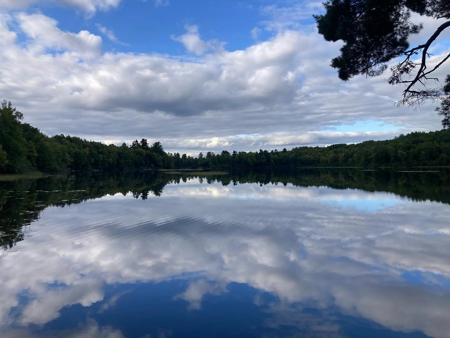 Felt Sense Part One: Two Realities Collide

📝

We feel something. A flicker, a surge. Almost instantly, a story forms. Two realities coexisting: raw sensation and narrative overlay.

The raw sensation wants one thing. The narrative wants another.

O