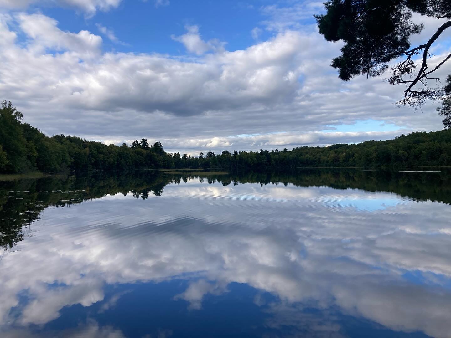 Felt Sense Part One: Two Realities Collide

📝

We feel something. A flicker, a surge. Almost instantly, a story forms. Two realities coexisting: raw sensation and narrative overlay.

The raw sensation wants one thing. The narrative wants another.

O