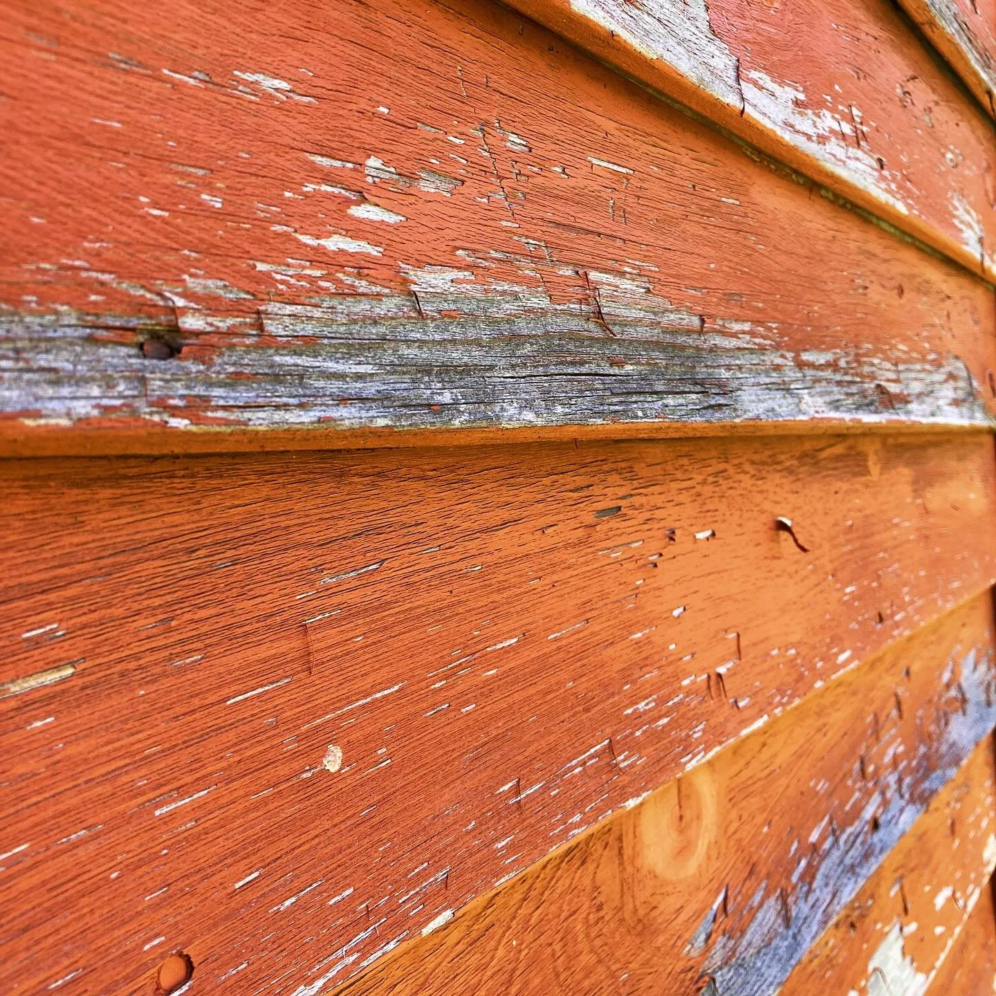 Repatterning Experience Part Two: 

The Work is the Life

📝

This isn&rsquo;t about fixing or even changing something. It&rsquo;s about showing up. Showing up to our body, our breath, our impulses, our sensations. Paying attention. Meeting what&rsqu