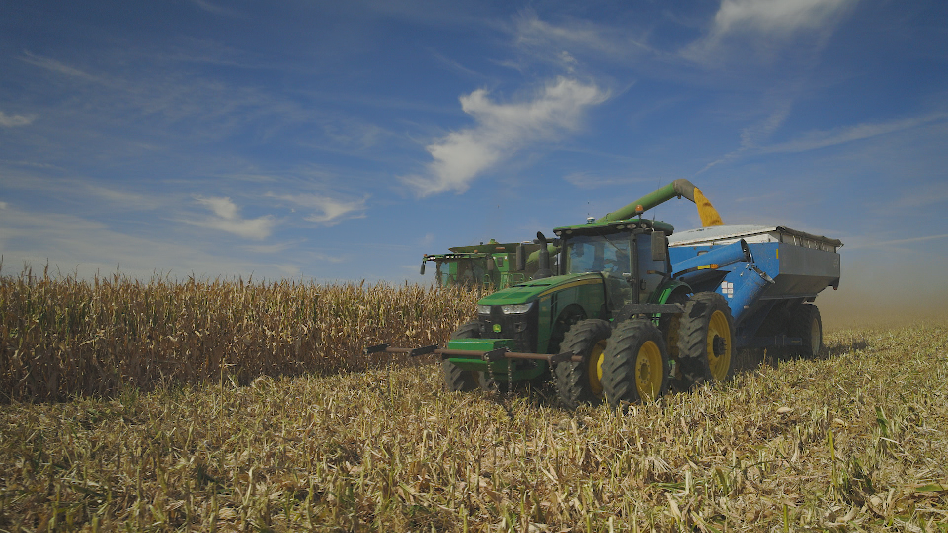 Two tractors working in a cornfield under a blue sky with clouds.